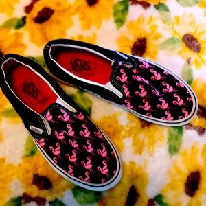 Flamingo Vans
